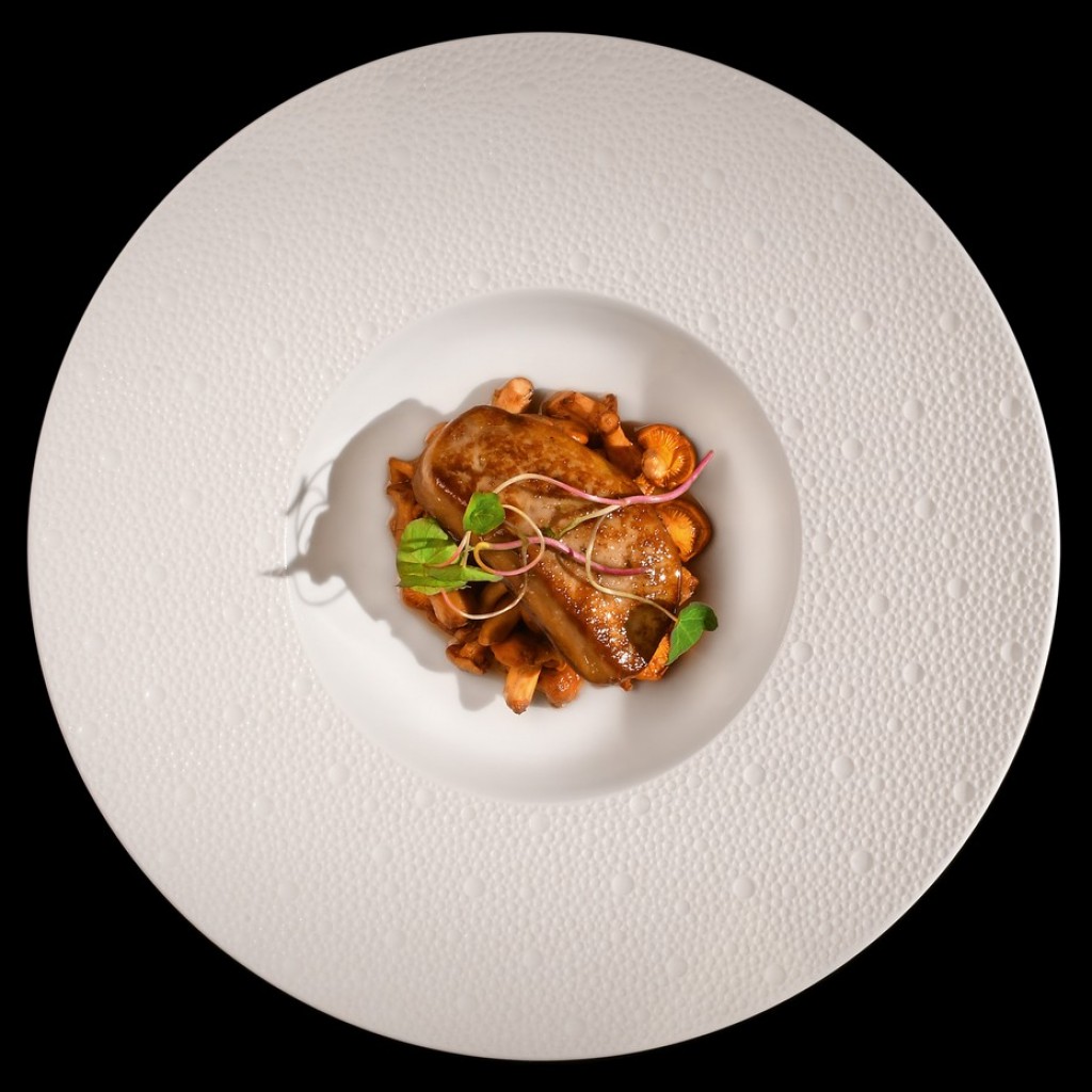 fricassee-resized